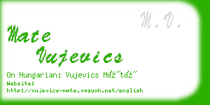 mate vujevics business card